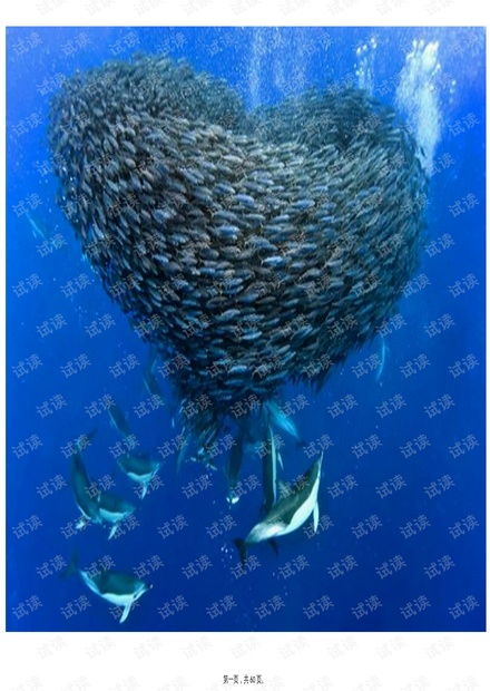 水產(chǎn)食品原料概論